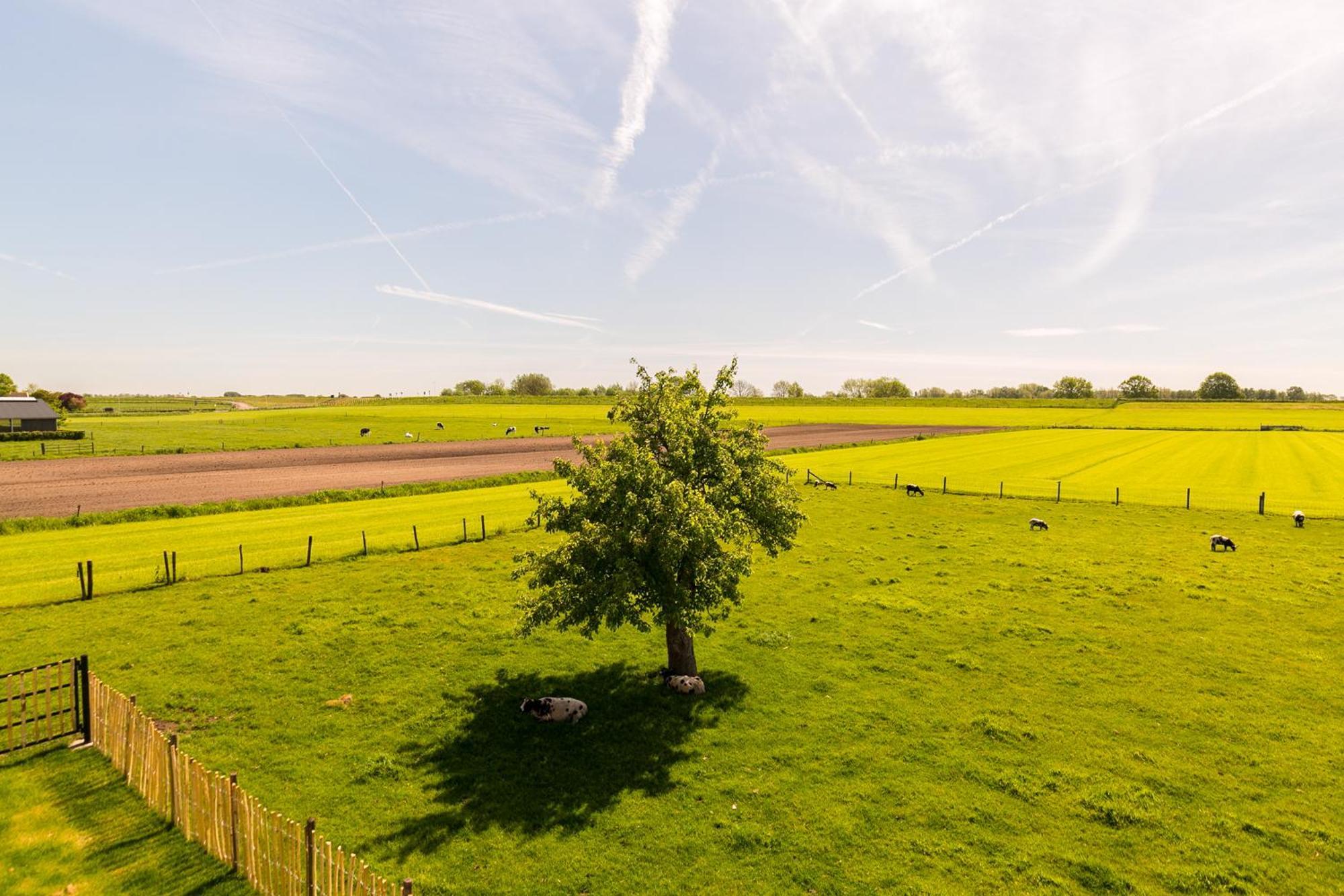 Schalkwijk Boerderij De Zalm Bed & Breakfast エクステリア 写真
