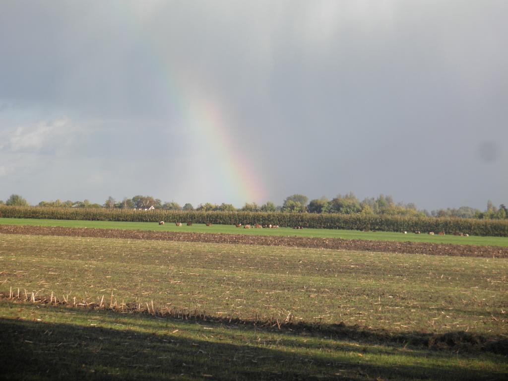 Schalkwijk Boerderij De Zalm Bed & Breakfast エクステリア 写真