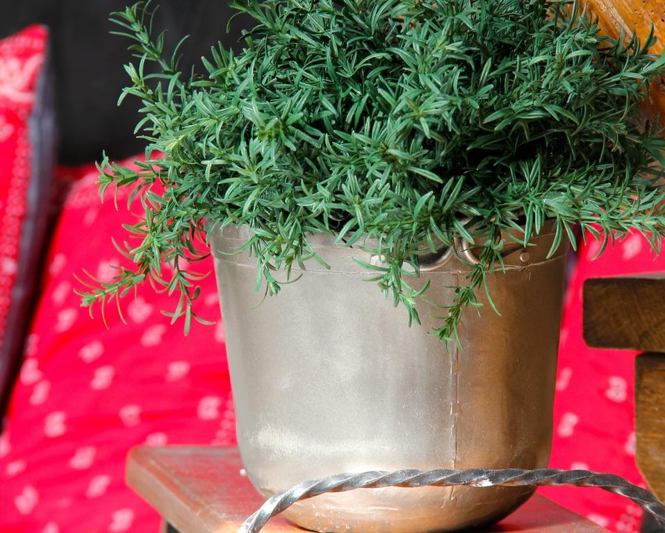 Schalkwijk Boerderij De Zalm Bed & Breakfast 部屋 写真